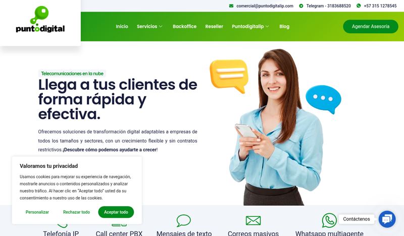 Sitio web de Punto Digital IP desarrollado por Lulo Web