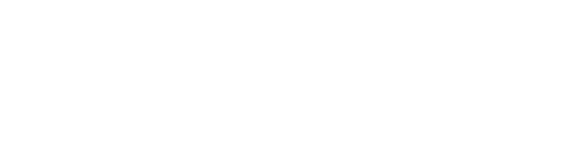 a3